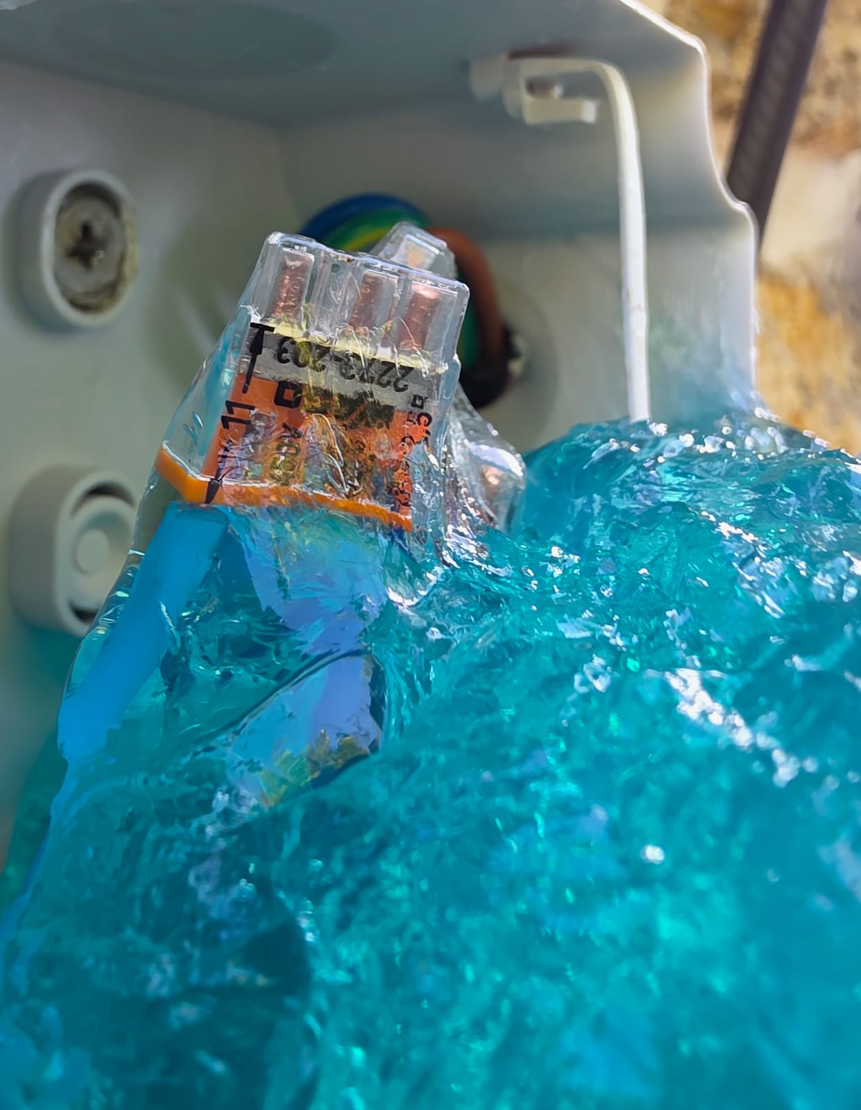 Connettore Wago 2273-203 ricoperto di gel blu sigillante in una scatola di derivazione