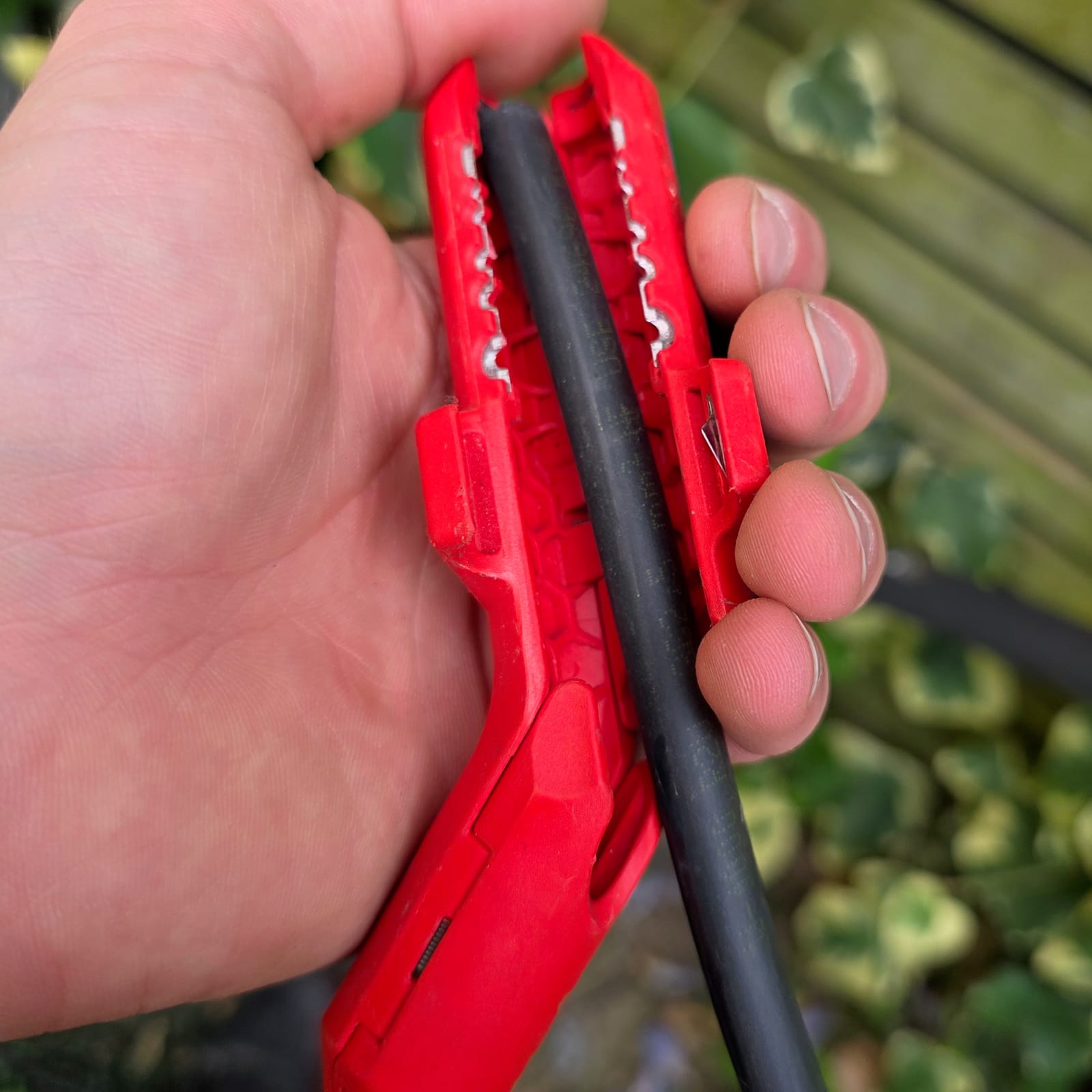 Knipex ErgoStrip en acción en la mano, pelado en curso de un cable R2V 2,5 mm²