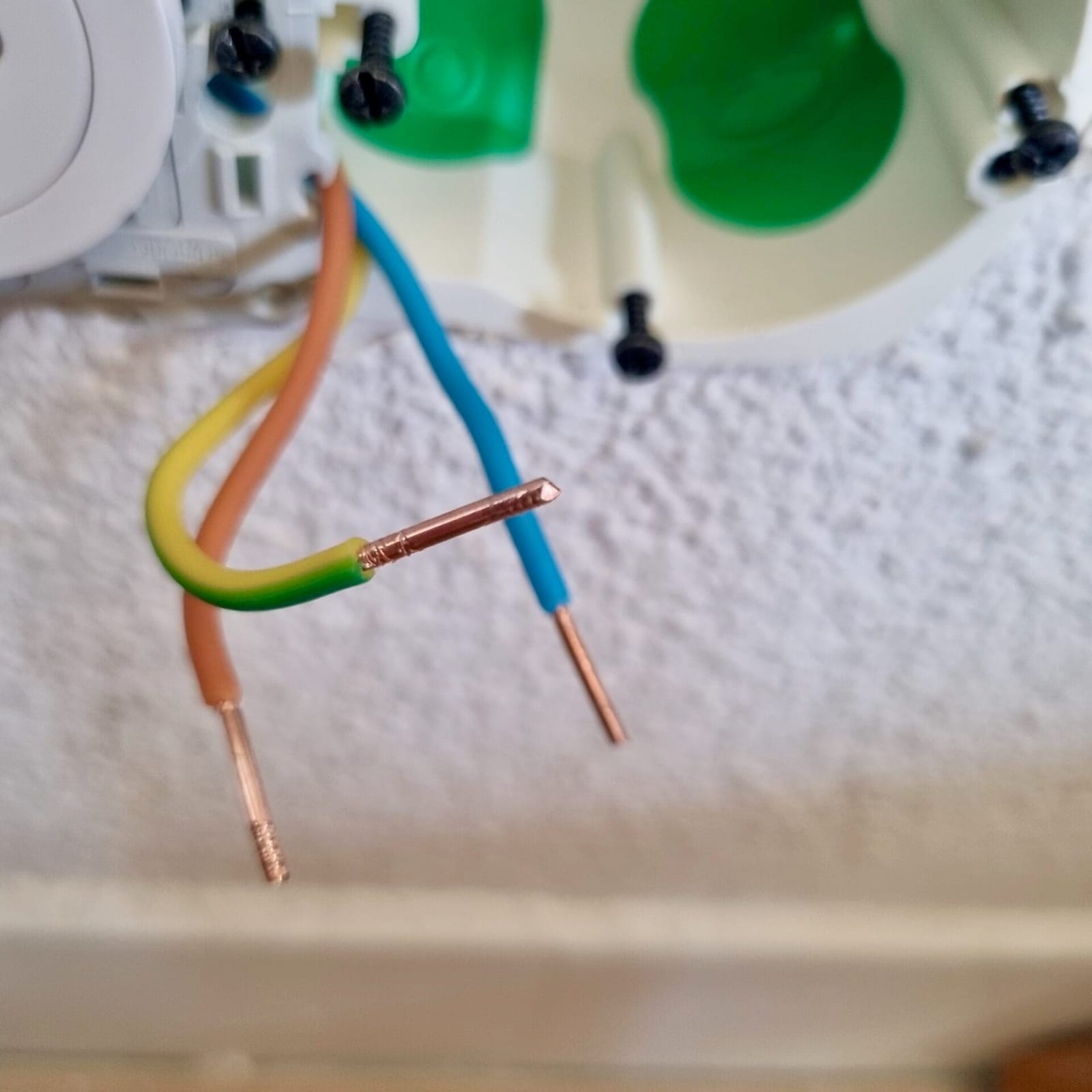 Fils électriques dénudés terre phase neutre tenus à la main hors tension, âme de cuivre visible